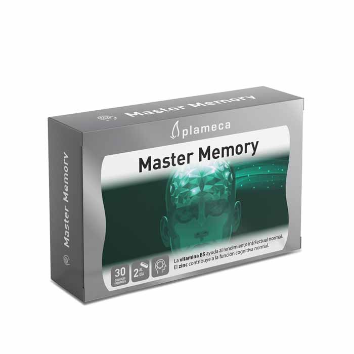 GINKGO BILOBA Master Memory 30 CAPS